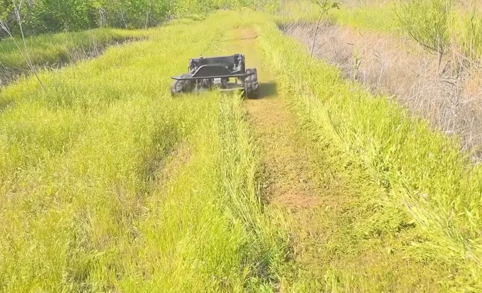 Mower cutting vegetation on open ground