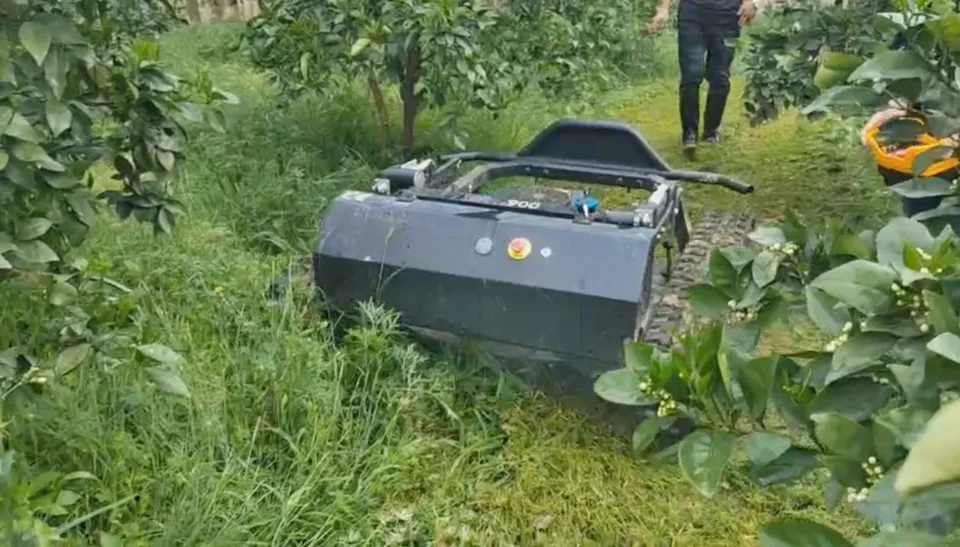 Remote-control mower working between orchard trees